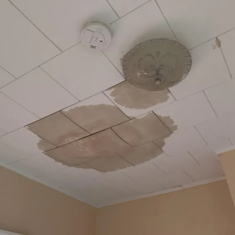Ceiling Water Damage Repair in Sebastian County, AR