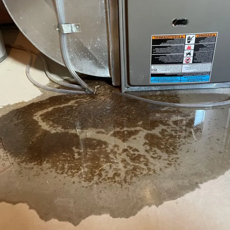 Pipe Burst and Leak Restoration in Sebastian County, AR