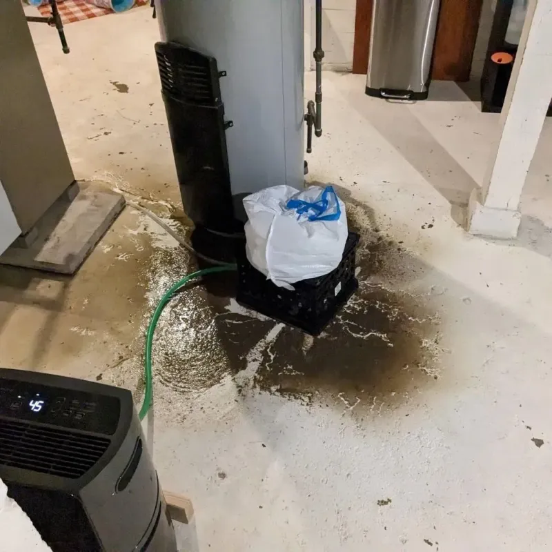 Sewage Backup Cleanup Service in Sebastian County, AR